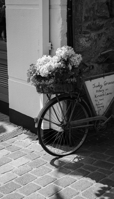 A bicycle equipped with a basket filled with large, densely packed white hydrangea flowers, placed outside a storefront. The hydrangeas exhibit full, rounded clusters of small petals, creating a lush,