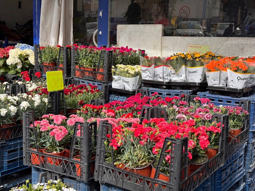 A display of potted flowering plants arranged on black plastic crates outside a flower shop. The collection features vibrant pink, red, white, yellow, and orange blooms, including carnations and chrys